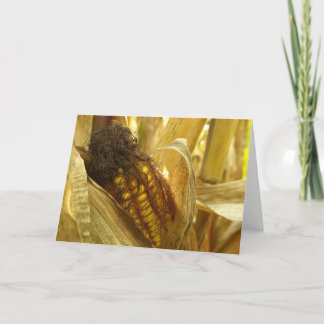 Tarjeta Maíz Greetingcard ascendente cercano