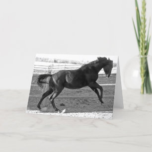 Tarjeta Mal comportamiento