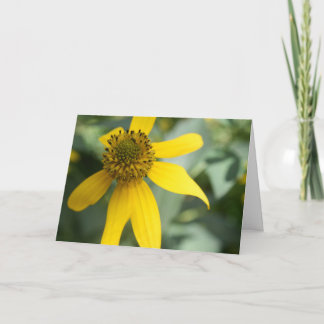 Tarjeta Mala de ojo (Rudbeckia laciniata)