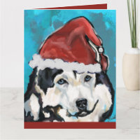 Malamute de Alaska