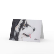 Malamute de Alaska de pelo largo