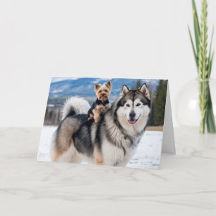Tarjeta Malamute y Yorkie