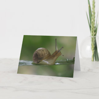 Tarjeta ¡Maldición! Tarde otra vez.