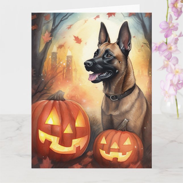 Tarjeta Malinoi belga de Halloween con calabazas temerosas (Orquídea)