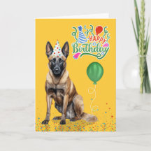 Malinois belga en Gorra Fiesta en cumpleaños amari