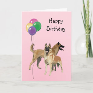 Tarjeta Malinois belga, globos de cumpleaños