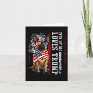 Tarjeta Malinois Belga Incluso Mi Perro Ama a Trump Divert