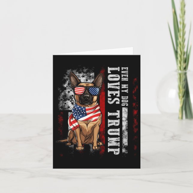 Tarjeta Malinois Belga Incluso Mi Perro Ama Trump Divertid (Anverso)