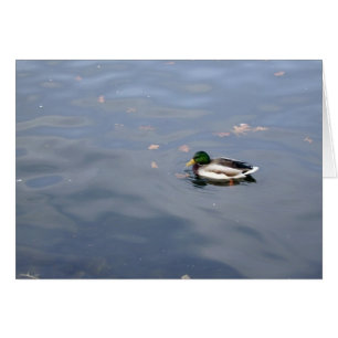 Tarjeta Mallard Blur