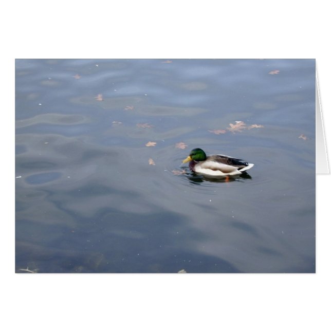 Tarjeta Mallard Blur (Anverso (Horizontal))