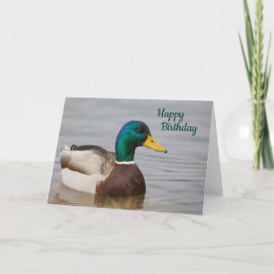 Tarjeta Mallard Duck Happy Birday Card