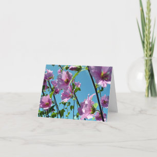 Tarjeta Mallow de árbol (Lavatera arborea)