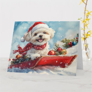 Tarjeta Malti Tzu Perro en Trineo Deja que Nieve Navidad
