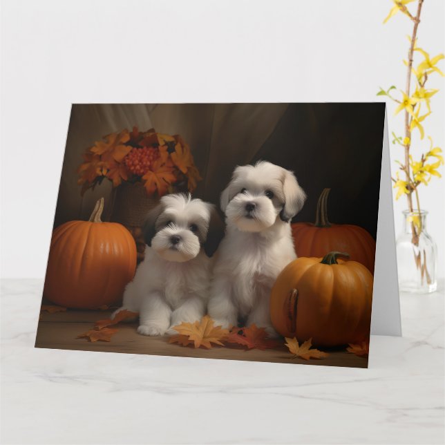 Tarjeta Malti tzu Puppy Calabaza deslumbrante de otoño (flor amarilla)