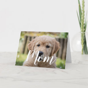 Tarjeta Mamá Día de la Madre de fotografía Mascota cachorr