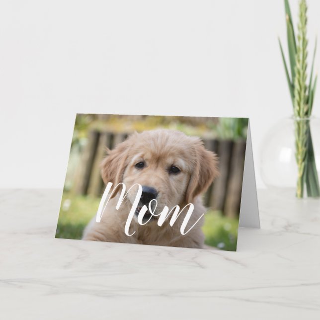 Tarjeta Mamá Día de la Madre de fotografía Mascota cachorr (Anverso)