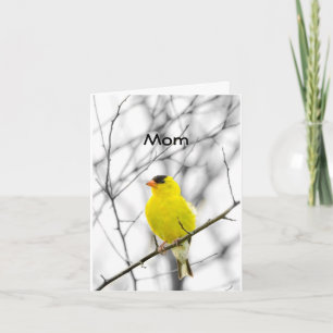 TARJETA "MAMÁ" EN SU CUMPLEAÑOS TUITEANDO FELIZ CUMPLEAÑOS