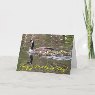 Tarjeta Mamá ganso y foto de los gansos del bebé