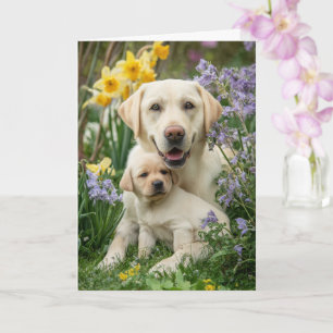 Tarjeta Mamá Labradora Amarilla Día de la Madre Amor