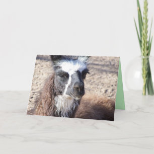 Tarjeta Mama Llama Greeting