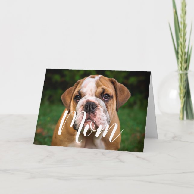Tarjeta Mamá Mascota foto Día de la Madre gracioso cachorr (Anverso)