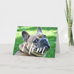 Tarjeta Mamá Mascota foto Día de la Madre gracioso Perro d