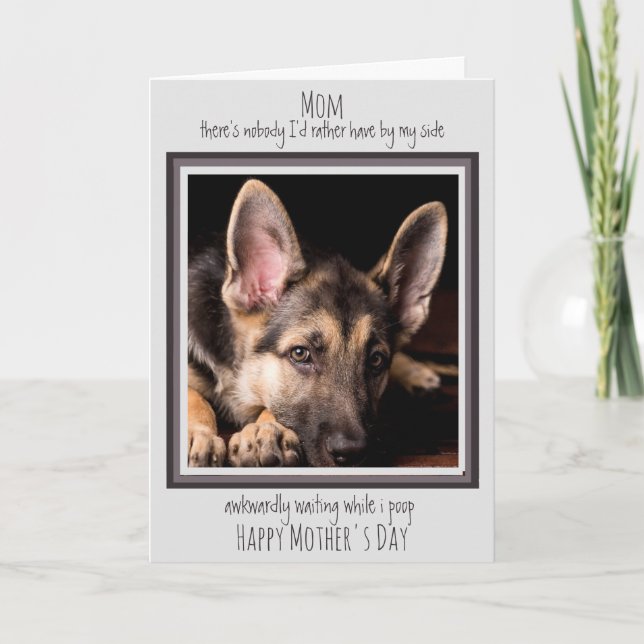 Tarjeta Mamá Perro Divertido Feliz Día de la Madre Caca de (Anverso)