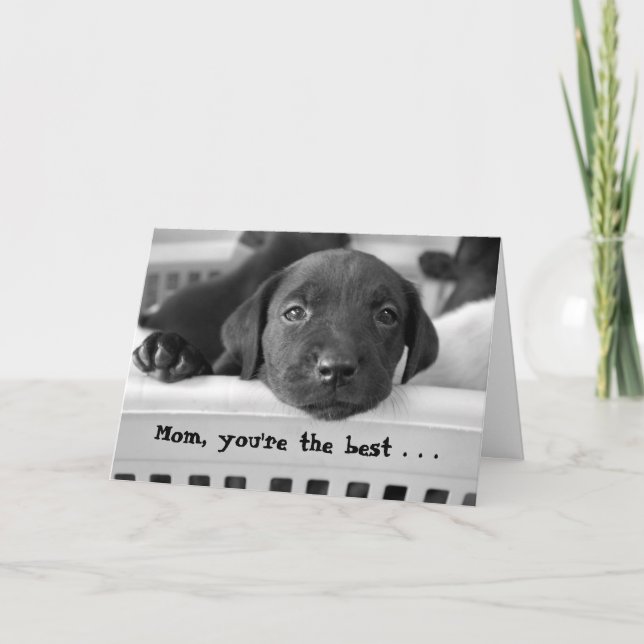 Tarjeta Mamá, usted es el mejor… (Anverso)