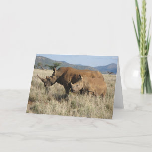 Tarjeta Mamá y bebé del rinoceronte