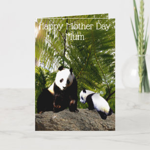 Tarjeta Mamá Y Panda Del Bebé, Día De La Madre