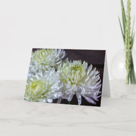 Tarjeta mamáes de araña blanca 0921