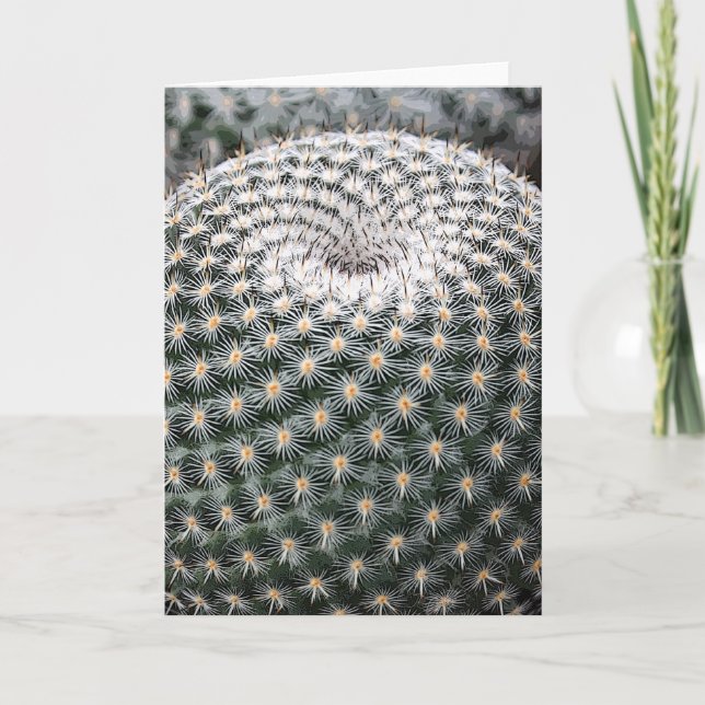 Tarjeta Mammillaria elegans notecard (Anverso)