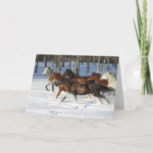Tarjeta Manada De Caballos Trakehner Corriendo En Nieve