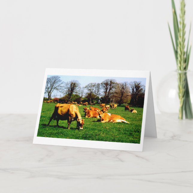 Tarjeta Manada de vacas Jersey (Anverso)