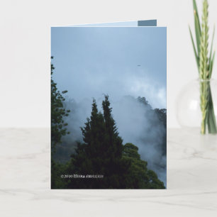 Tarjeta Mañana de Rotarua