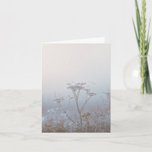 Tarjeta Mañana helada suave simpatía con la naturaleza