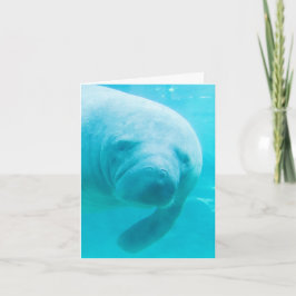 Tarjeta Manatee Digital Art "oh hi"