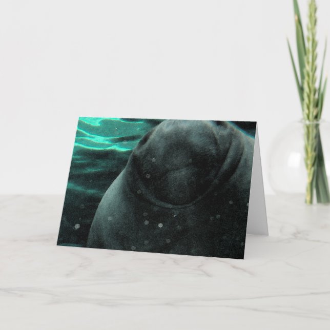 Tarjeta Manatee Kiss (Anverso)