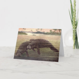 Tarjeta Manatíes Antiguos o Vacas Marinas, Mamíferos Marin