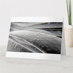 Tarjeta Manchas de pelo microscópicas