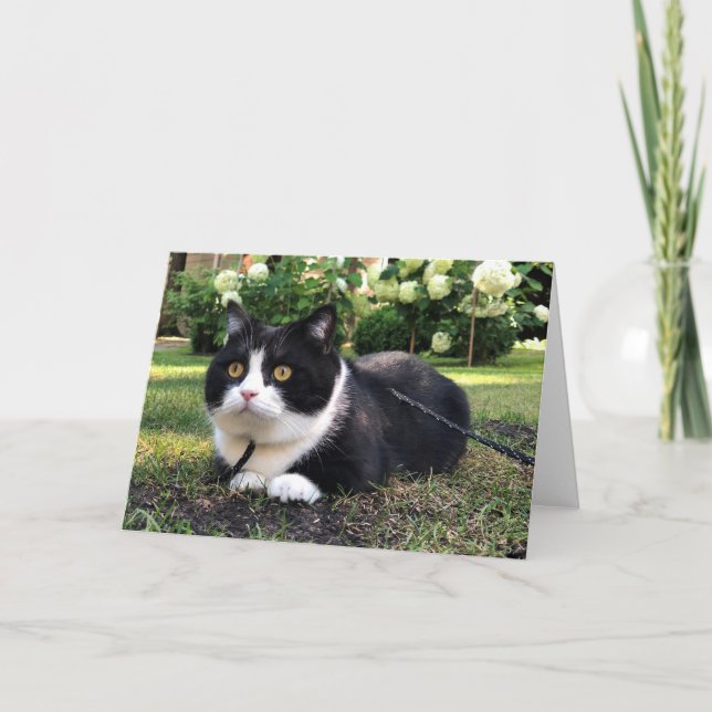 Tarjeta Manchester sobre la carta de la naturaleza (Anverso)