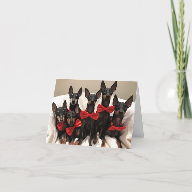 Tarjeta Manchester Terrier (Anverso)