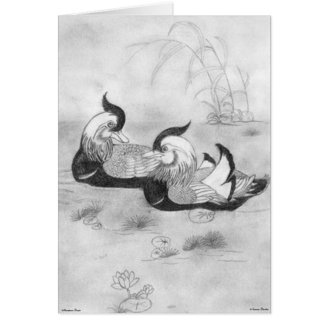 Tarjeta Mandarin Ducks (Frente)