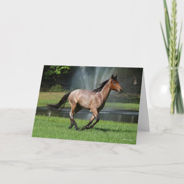 Tarjeta Mangalarga corriendo frente a la fuente (Anverso)