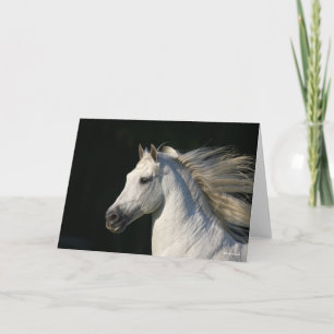 Tarjeta Mano andaluza de tiro en la cabeza Stallion