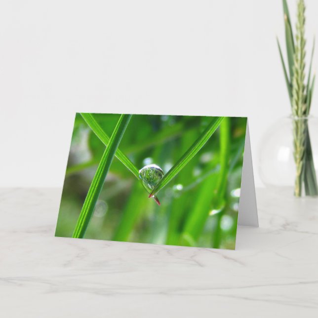 Tarjeta Manos tendidas, poesía de la naturaleza que cae en (Anverso)