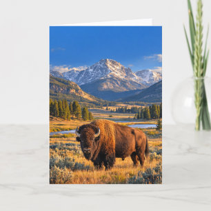 Tarjeta Manta de Bisonte Americano de la Pradera Dorada Si