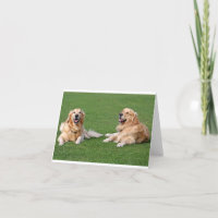 Manta de Cachorro de Golden Retriever