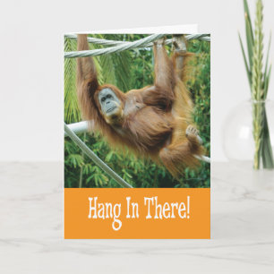 Tarjeta Mantén la Calma con divertido Orangután en Árbol