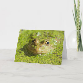 Tarjeta Mantener fresco